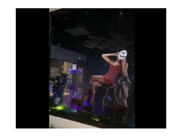 video 08